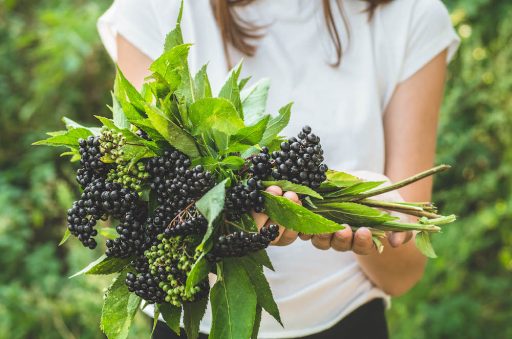 THE STAR SAMBUCOL NATURAL REMEDY FOR INFLUENZA